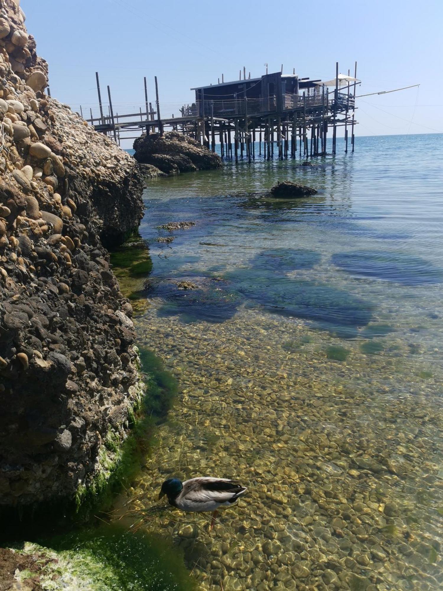 Casa La Noce Διαμέρισμα Vasto Εξωτερικό φωτογραφία